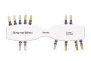 Empress Direct Shade Guide - DENTIN
